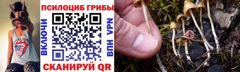 Галлюциногенные грибы прущие грибы  купить закладку  Онега 